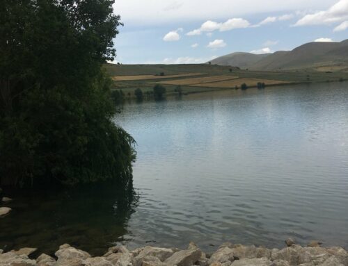 Şeyhli Göleti